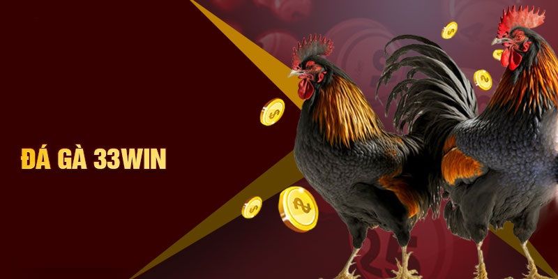 Giới thiệu sảnh đá gà 33win live trực tiếp