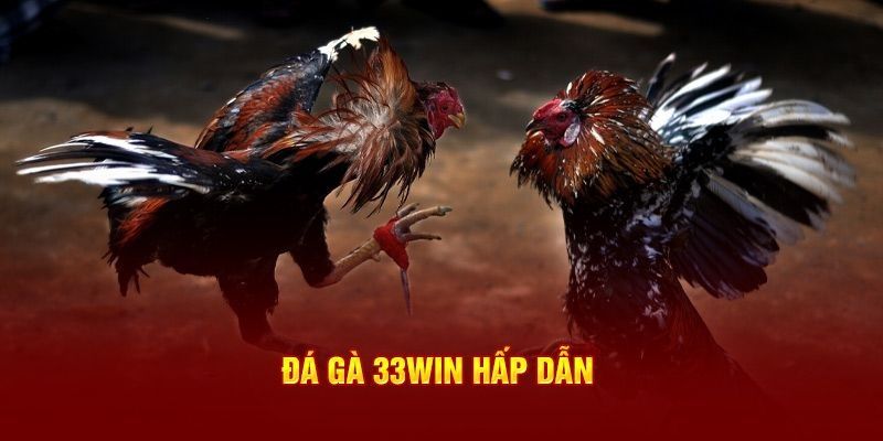 Chất lượng livestream đá gà tuyệt vời từ đấu trường 33WIN