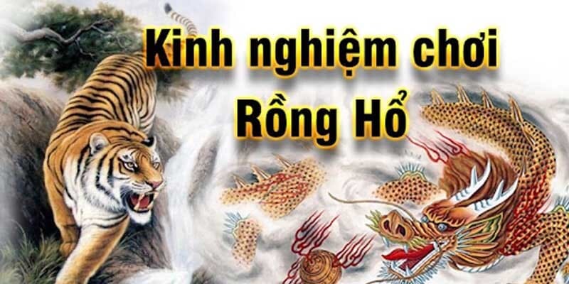 Kinh nghiệm bắt bài trong rồng hổ không thể bỏ qua